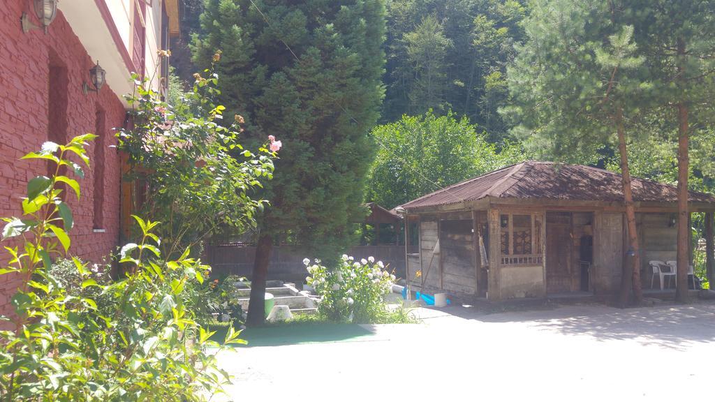 Isikli Kale *