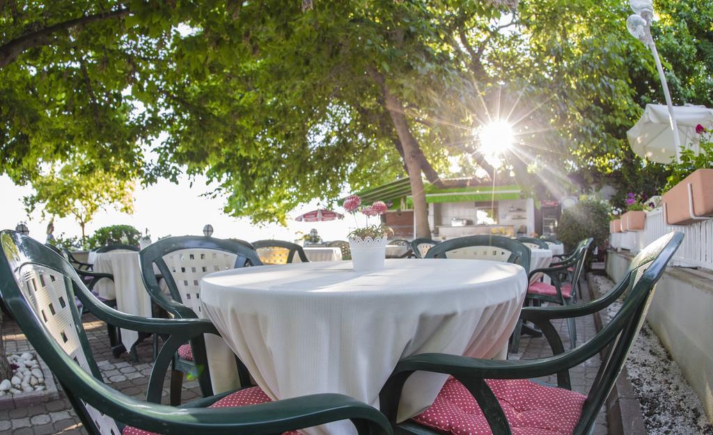 Hotel Arteka