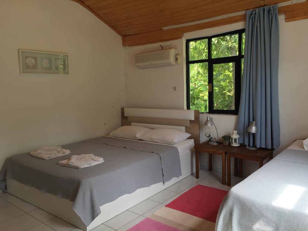 Homestay Friends Pension&camping *