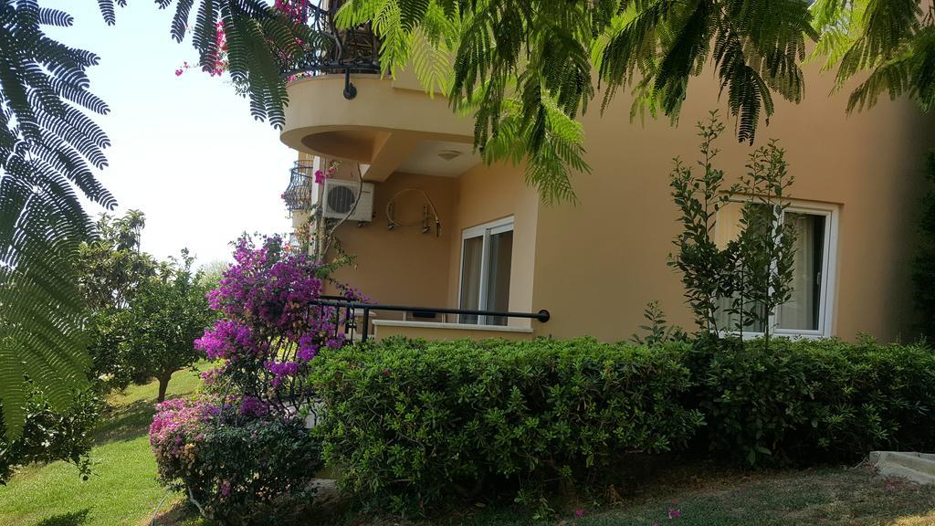 Apartment Gold City And
