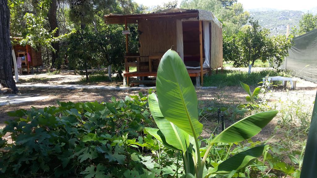 Campsite Secret Garden & 4*