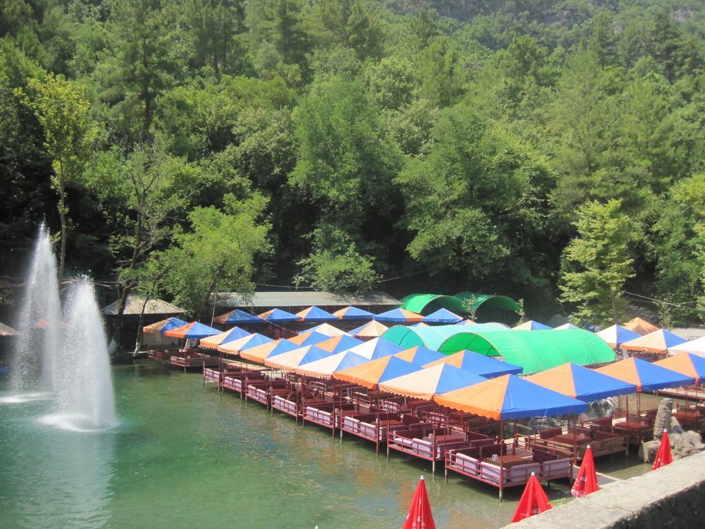 Villa Jasmin Park