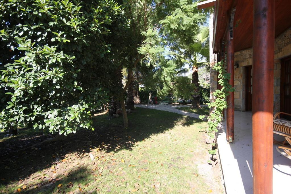 Pamuk Tarlasi * Dalyan