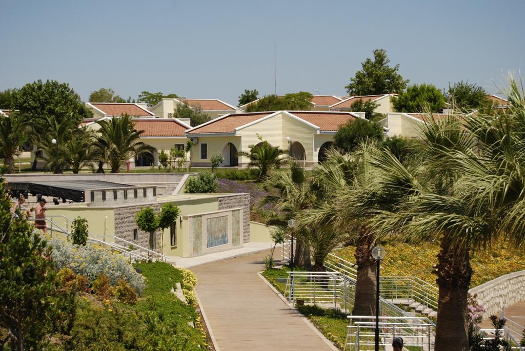 Palm Wings Didim