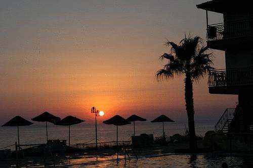 Palmera 3*