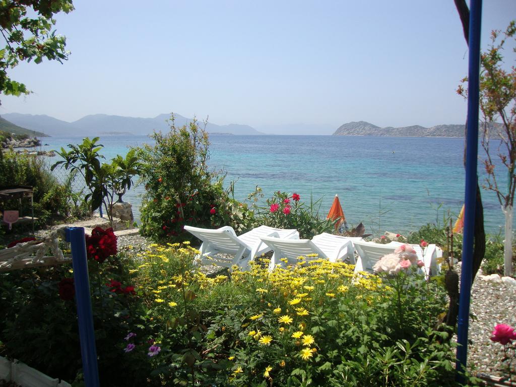 Mavi Akvaryum Pension *