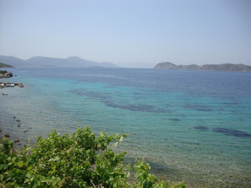 Mavi Akvaryum Pension