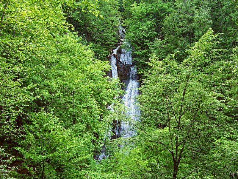 Hotel Kackar Ayder Yaylasi