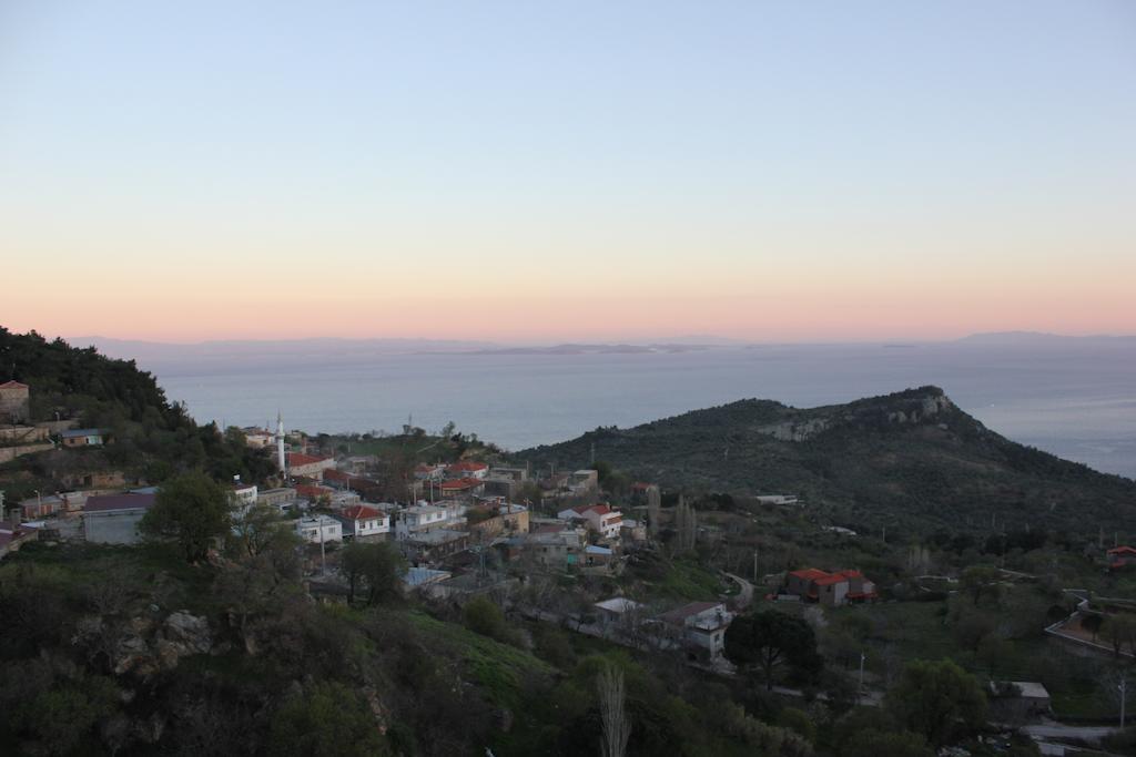 Assos Kayalar Terrace