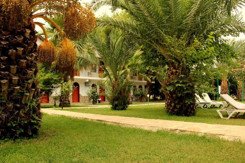 Olympos Yavuz Cirali