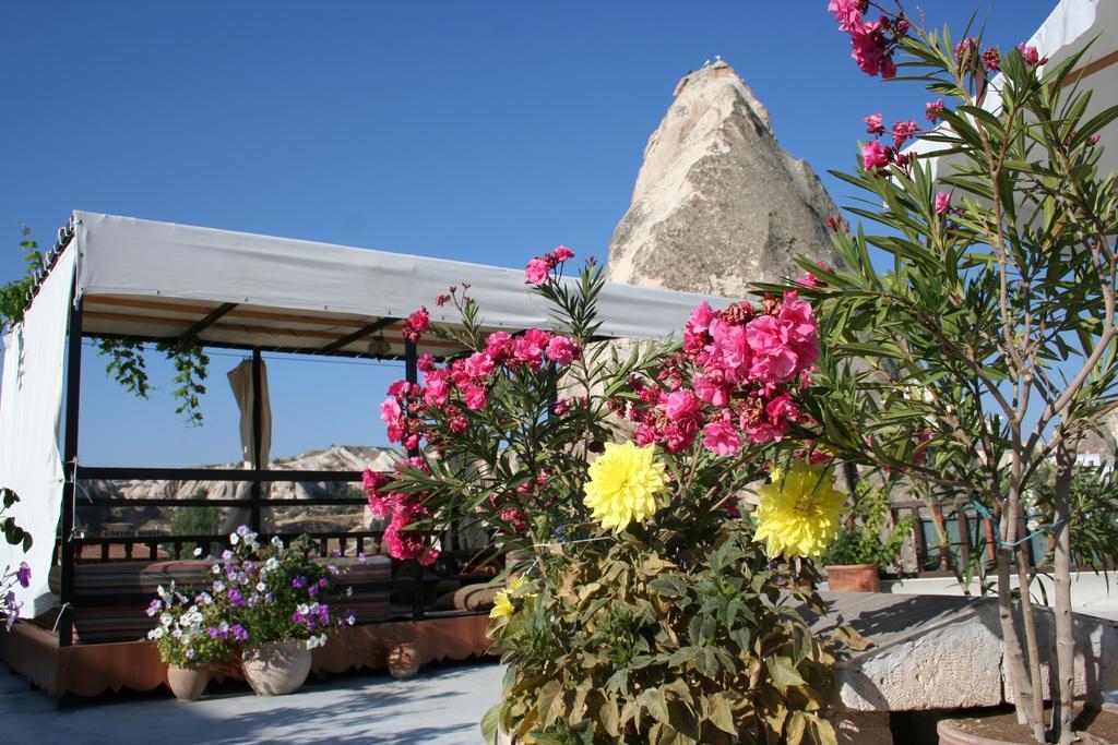 Arch 2*