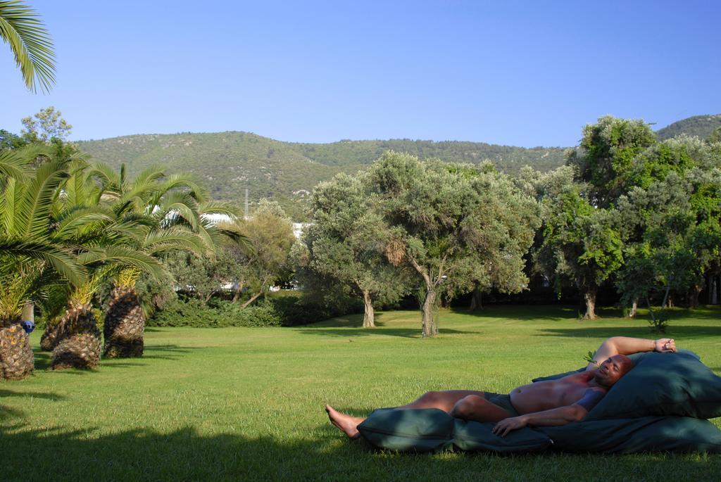 Samara Hotel Bodrum Ultra All Inclusive Resort Torba