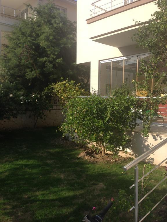 Zeytin Cesme