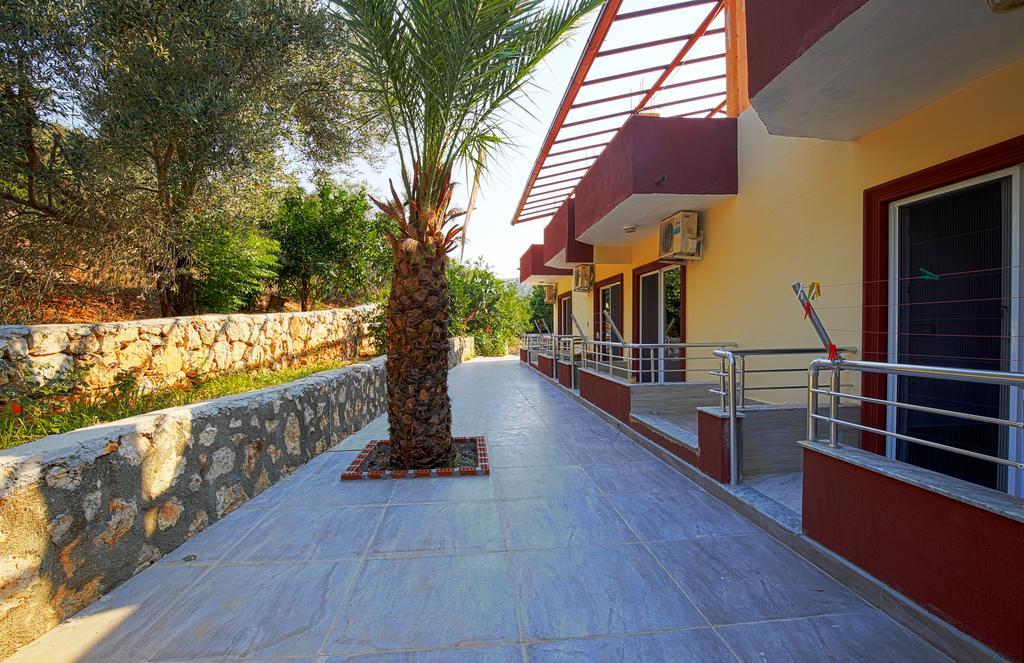 Rose Guest house