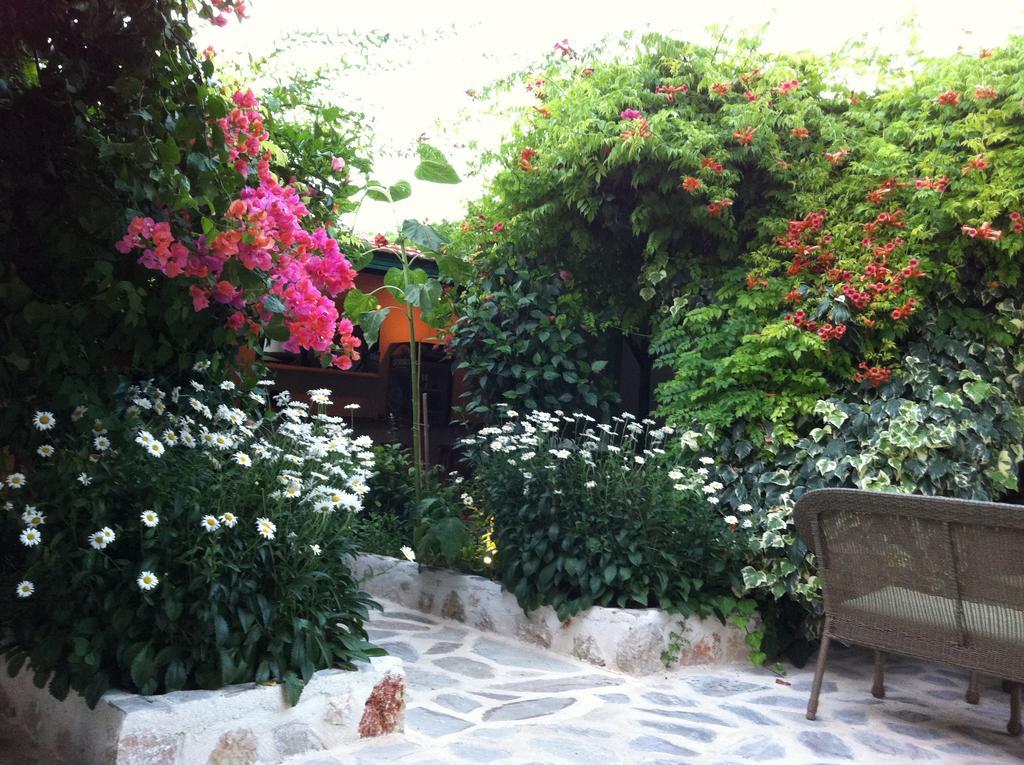 Dardanos Hotel 2*