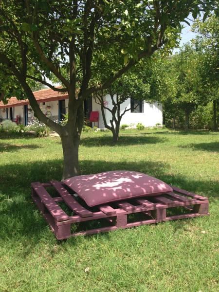 Friends Pension&camping Homestay Cirali