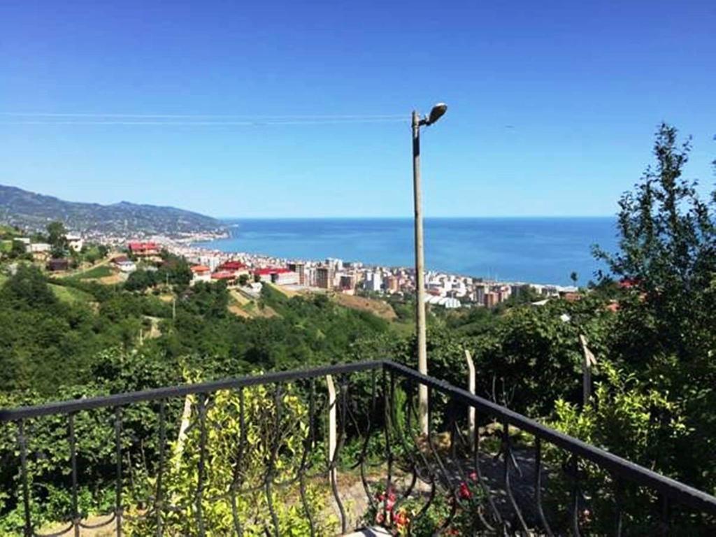 Rose Trabzon