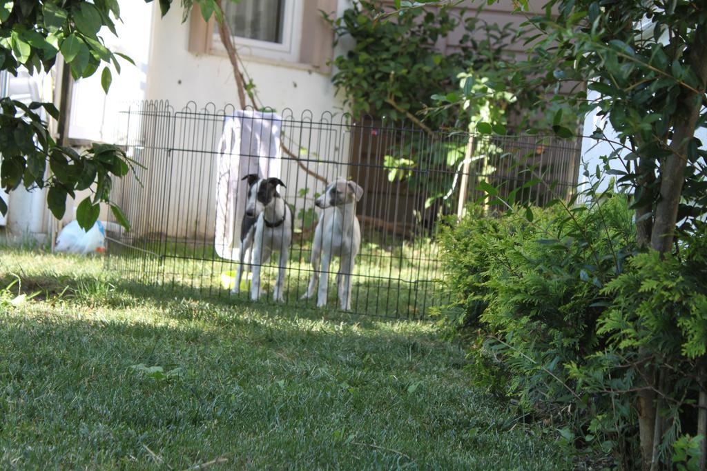 Hotel Aloria Garden Erdek