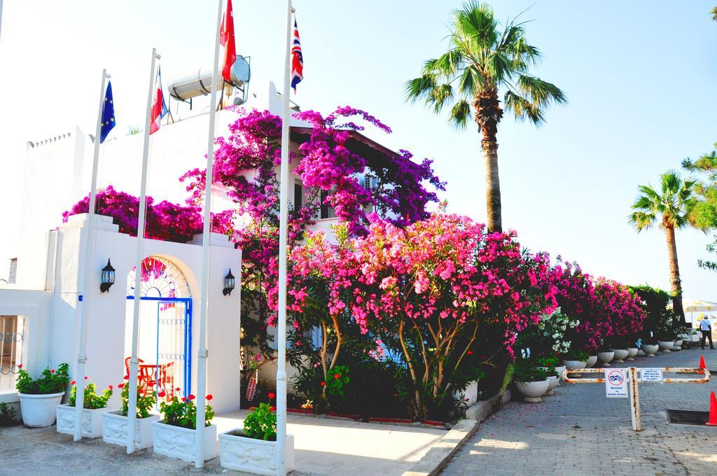 Hotel Regal 2*