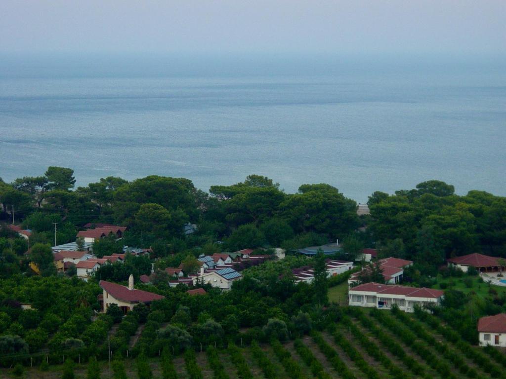 Blue & White Cirali