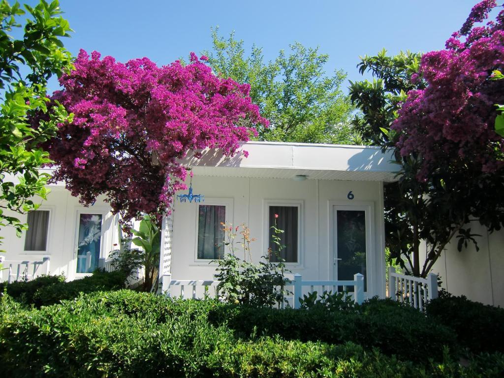 Blue & White Holiday park