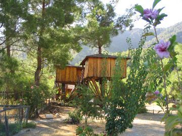 Hotel Rahmi's Tree Houses