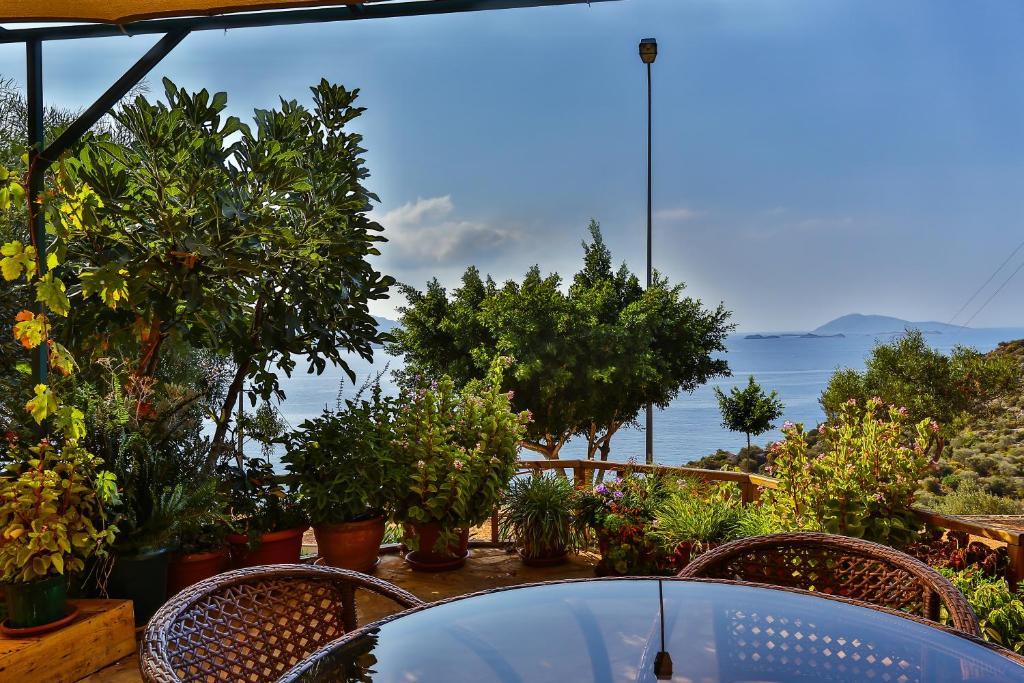 Hamarat Hotel 3*