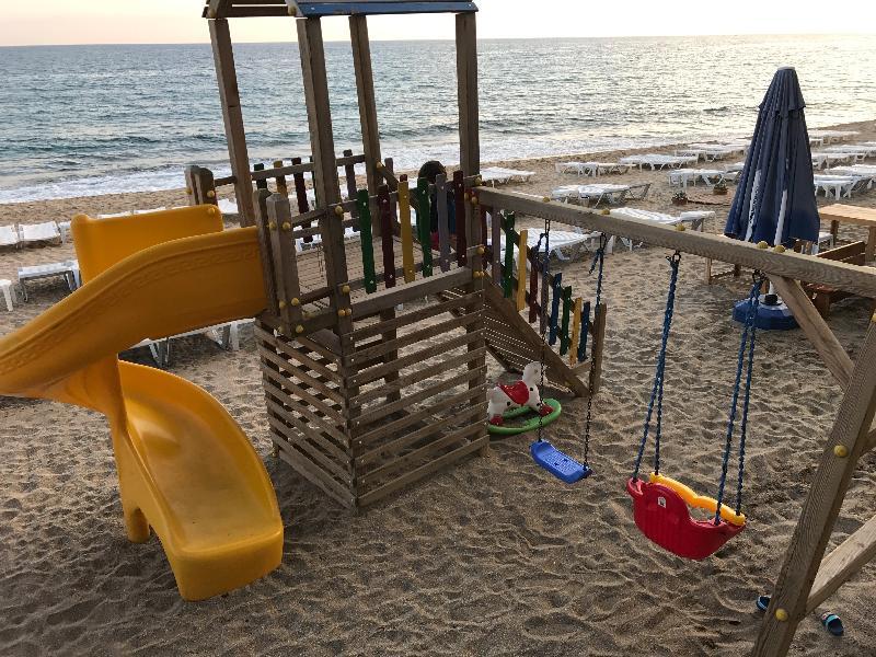 Muz Alanya