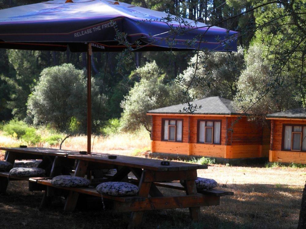 Hotel Olympos Woods - Adults Only 3*