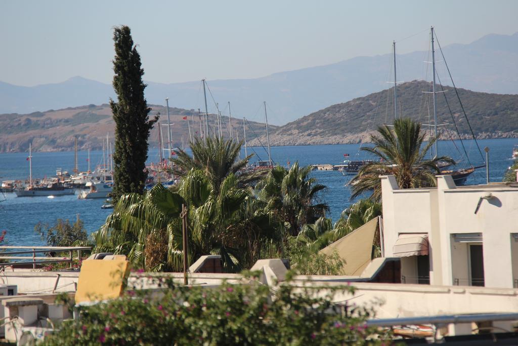 Serpina (adults Only) 3*
