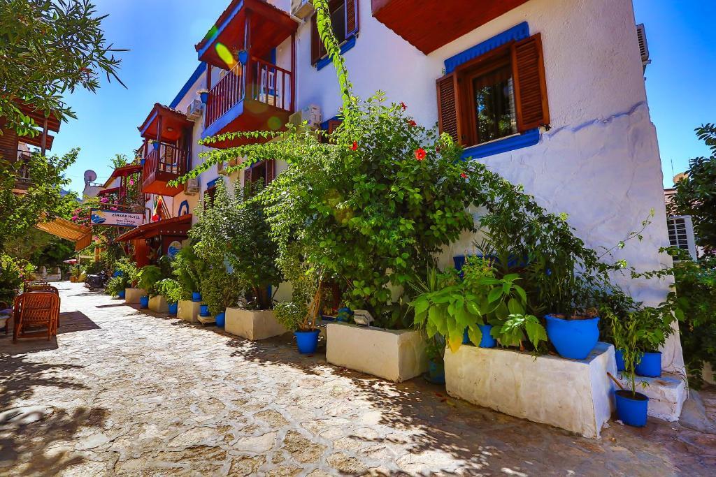 Zinbad Hotel 3*