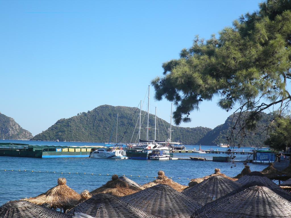 Mavera 3*