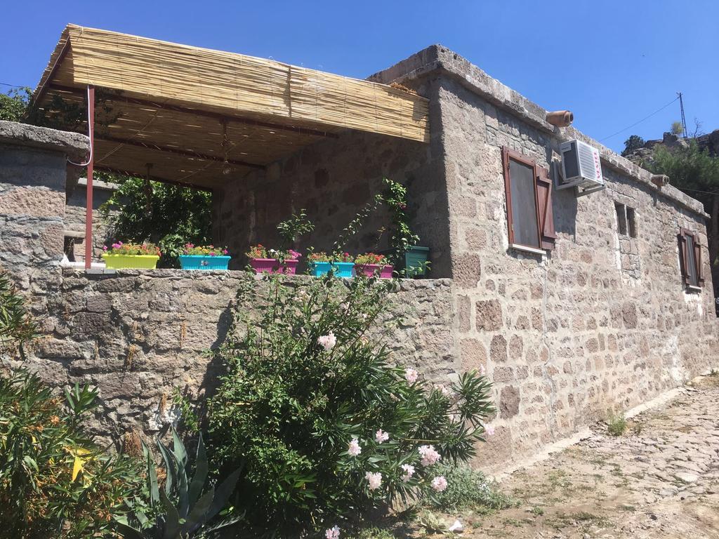 Dut Agaci Pension Homestay