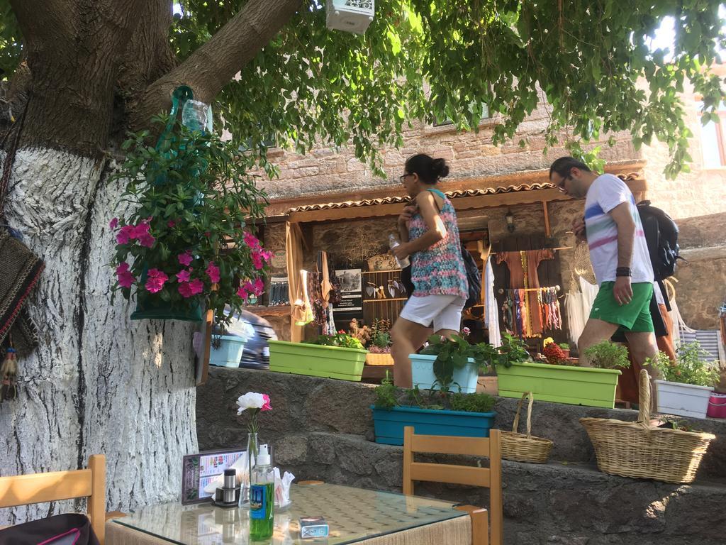 Dut Agaci Pension *
