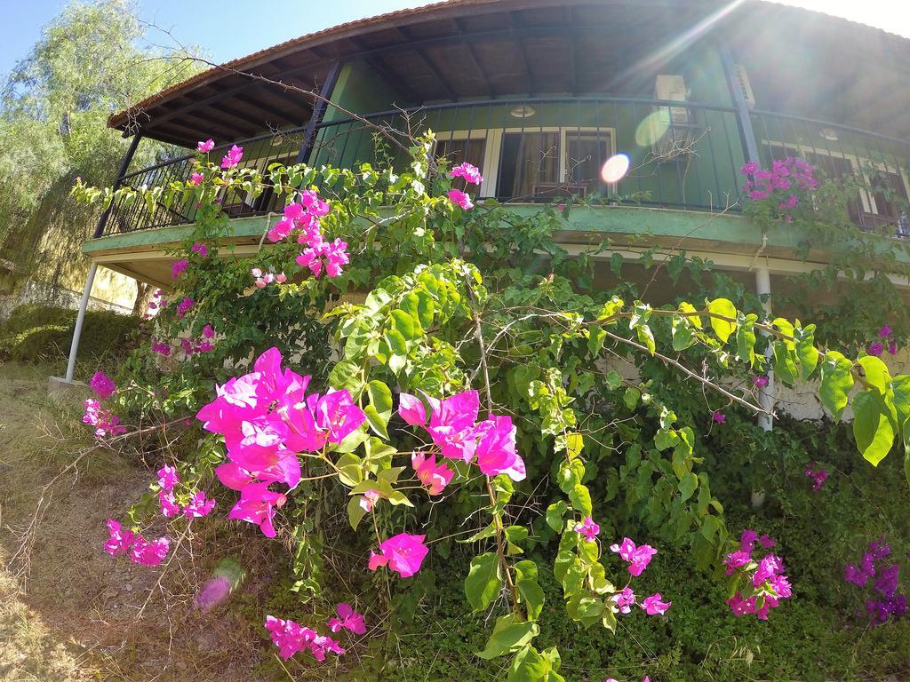 Hotel Rainbow Bay