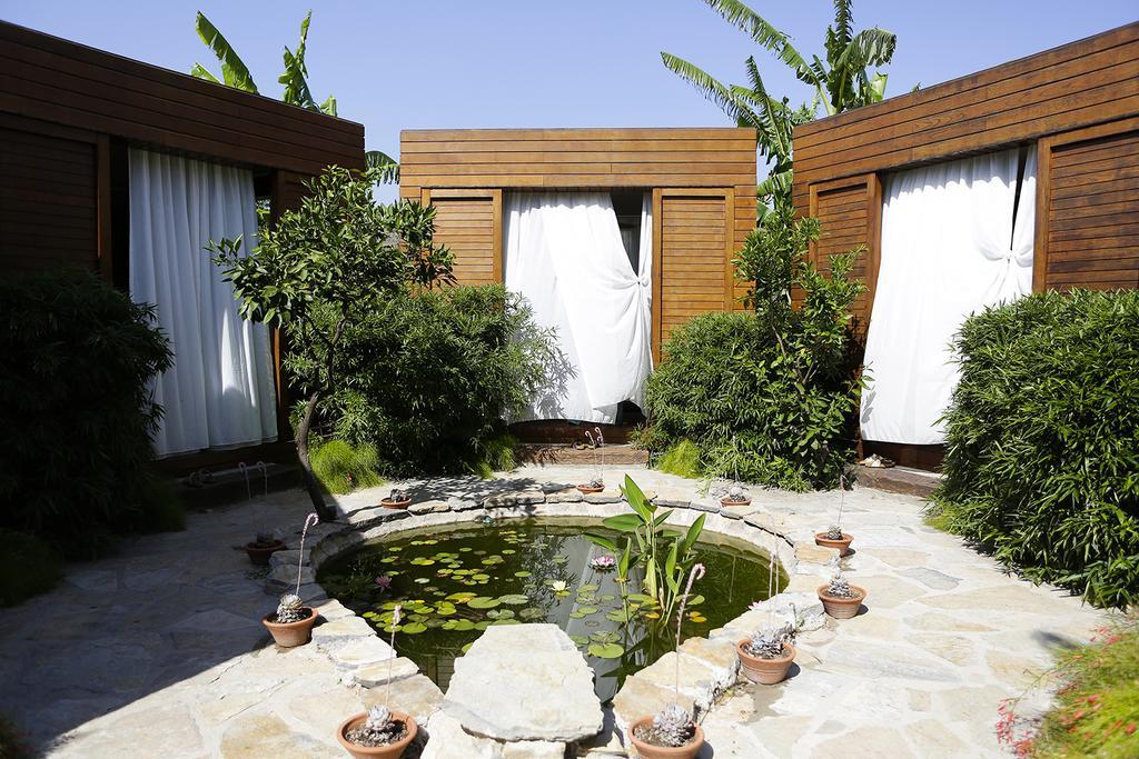 The Lifeco Bodrum Well-Being Detox Center And Vegan Hotel (Adults Only) Golturkbuku