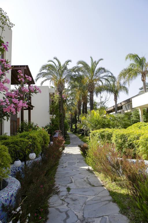 The Lifeco Bodrum Well-Being Detox Center And Vegan Hotel (Adults Only)