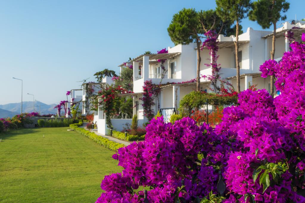 Sunset Mavi Holiday home Turgutreis