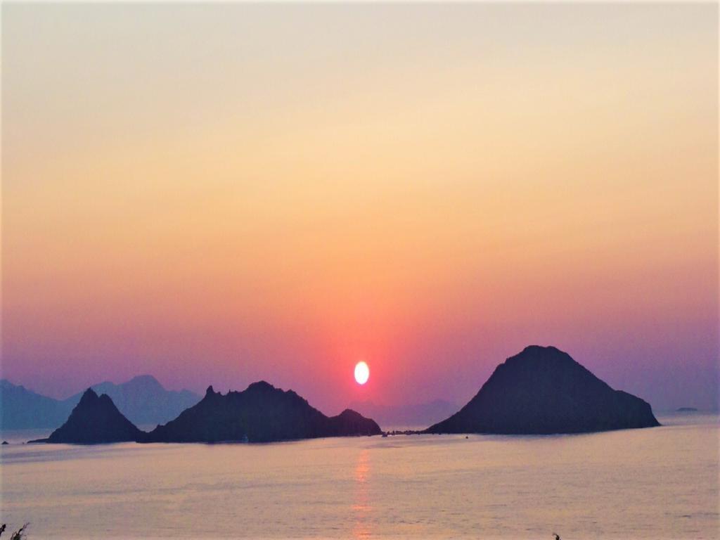 Sunset Mavi *