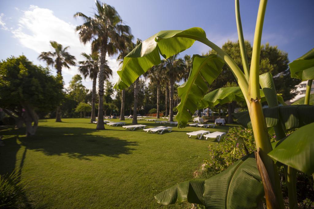 Resort Terrace 5*