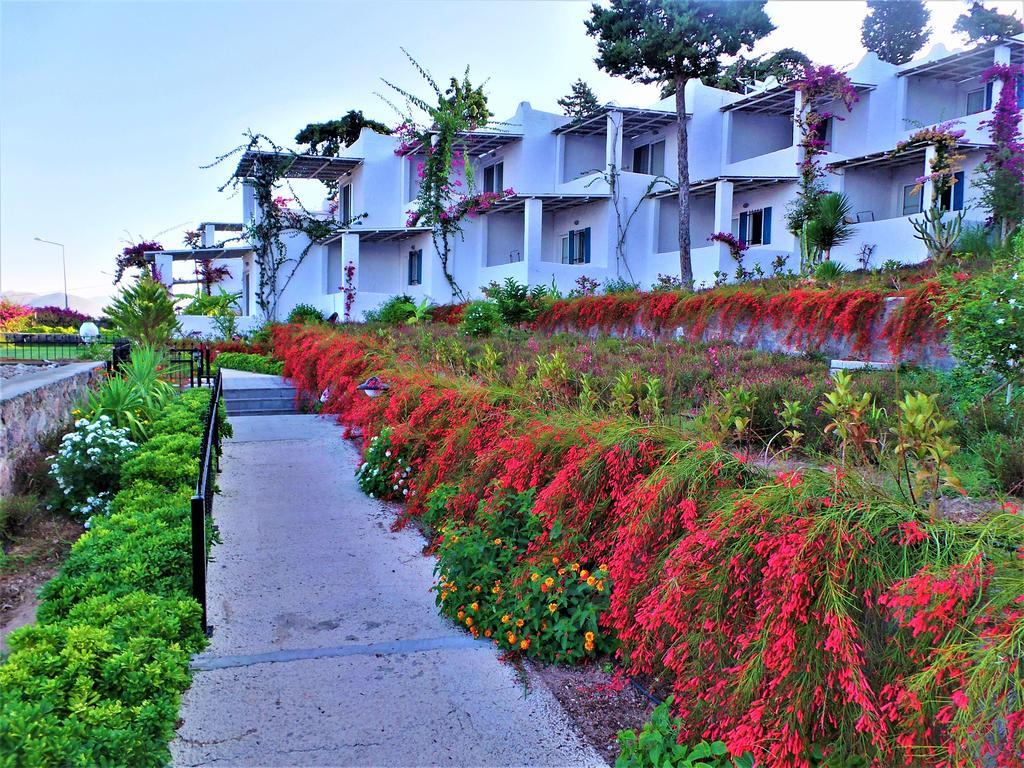 Sunset Mavi Holiday home *