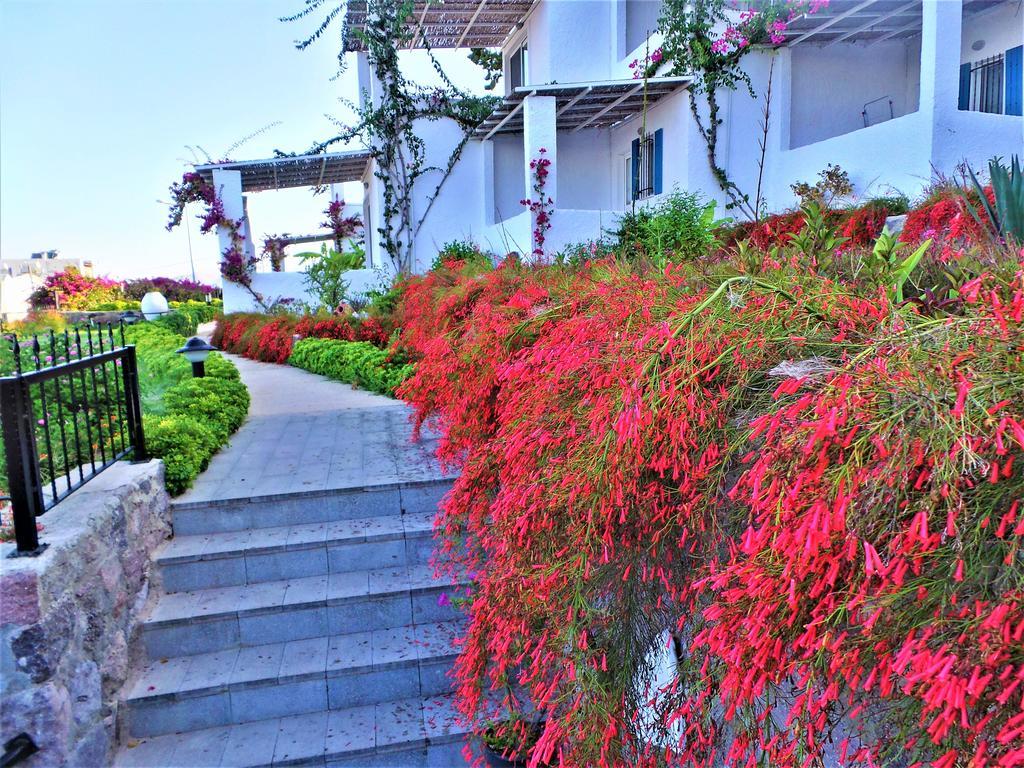 Sunset Mavi Holiday home Turgutreis