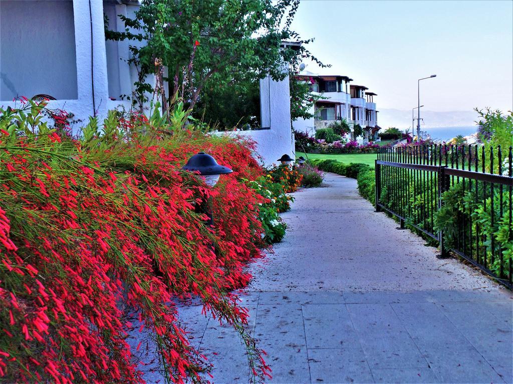Holiday home Sunset Mavi Turgutreis