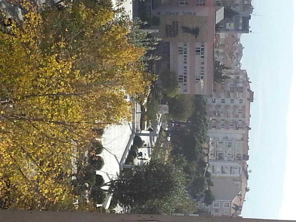Cetinkaya