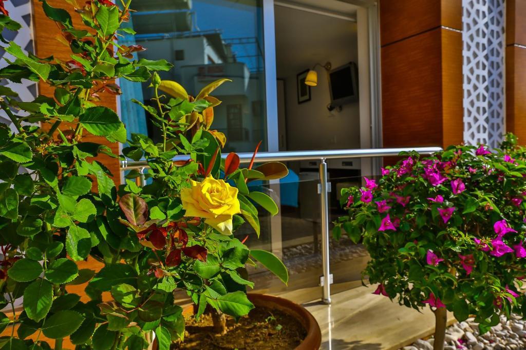 Hotel Sonne - Adults Only 3*