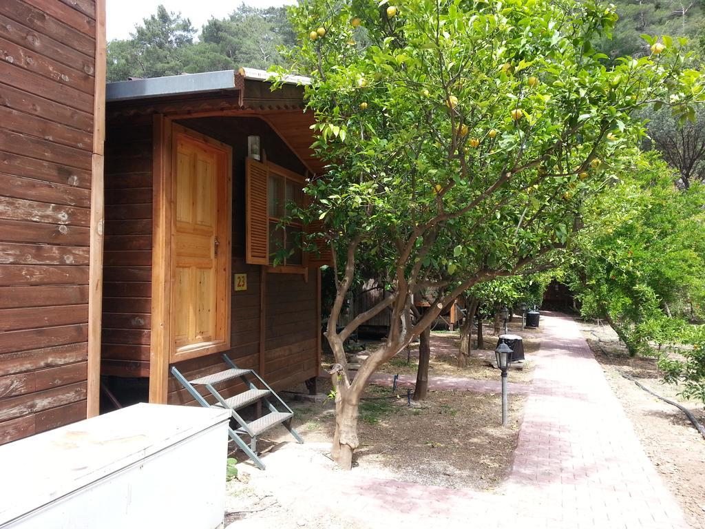Varuna & Restaurant