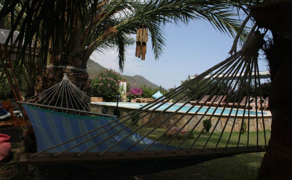 Papirus Hotel