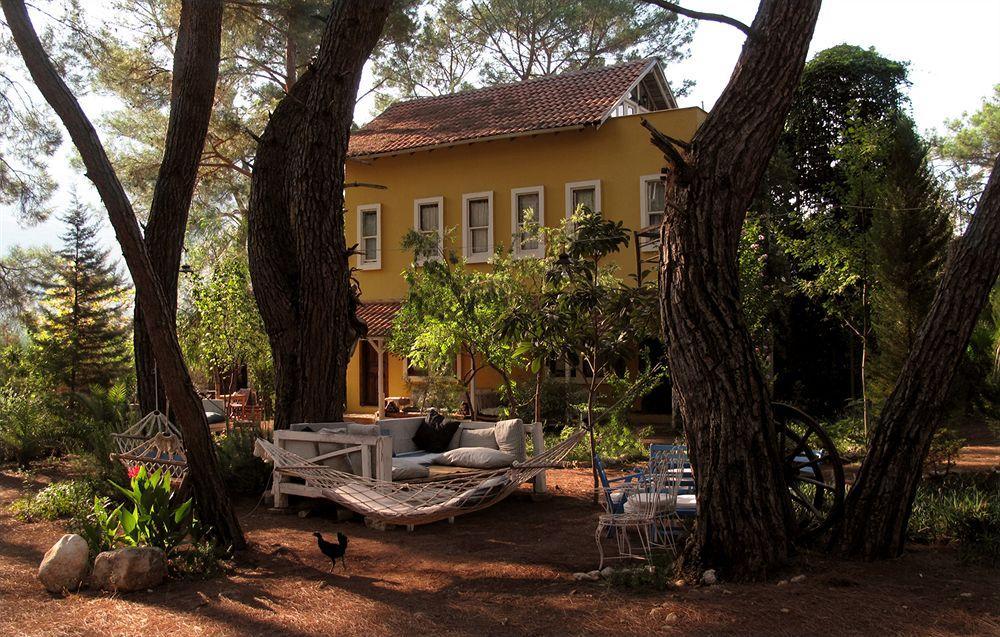 Daphne House Guest house 2*