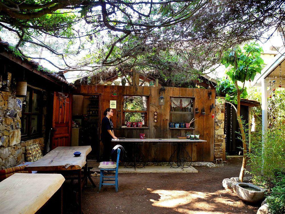 Daphne House Olympos