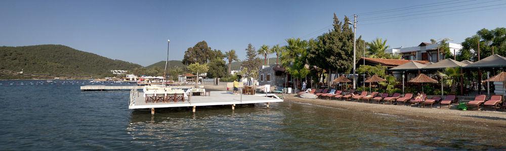 Golkoy *